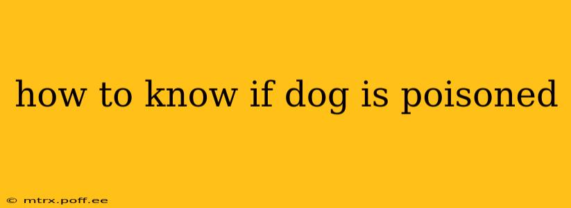 how to know if dog is poisoned