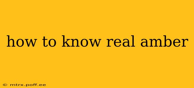 how to know real amber