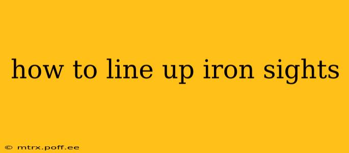 how to line up iron sights