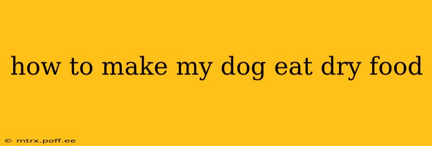 how to make my dog eat dry food