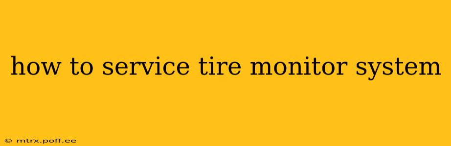 how to service tire monitor system