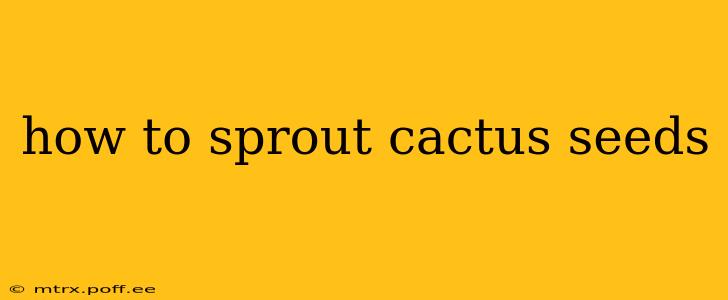 how to sprout cactus seeds