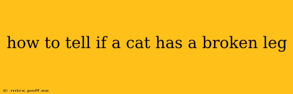how to tell if a cat has a broken leg