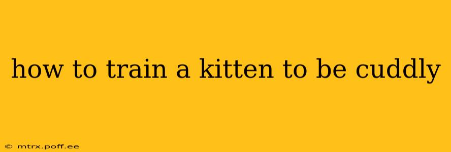 how to train a kitten to be cuddly