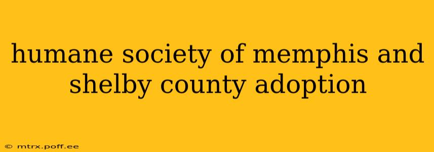 humane society of memphis and shelby county adoption
