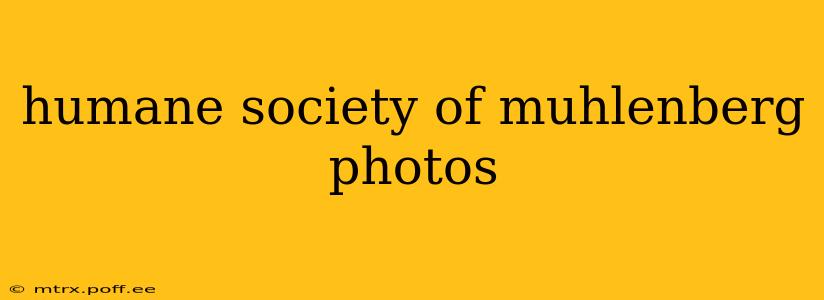 humane society of muhlenberg photos