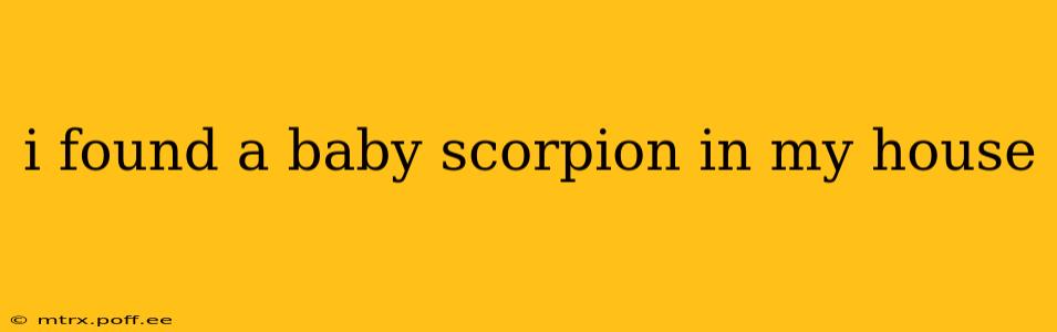 i found a baby scorpion in my house