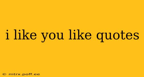 i like you like quotes