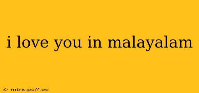 i love you in malayalam