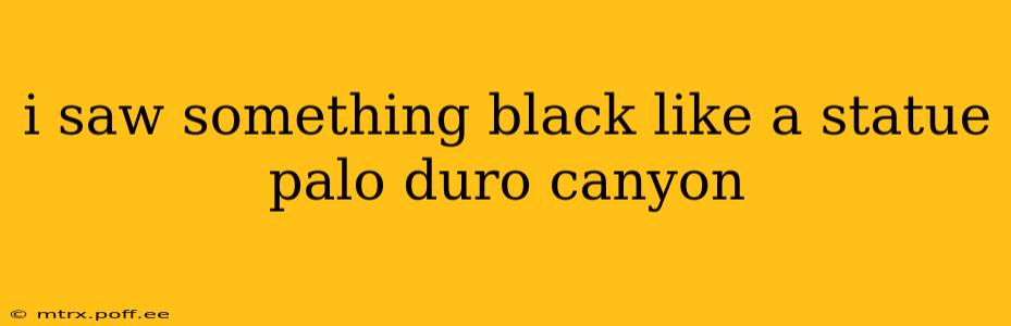 i saw something black like a statue palo duro canyon