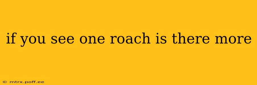 if you see one roach is there more