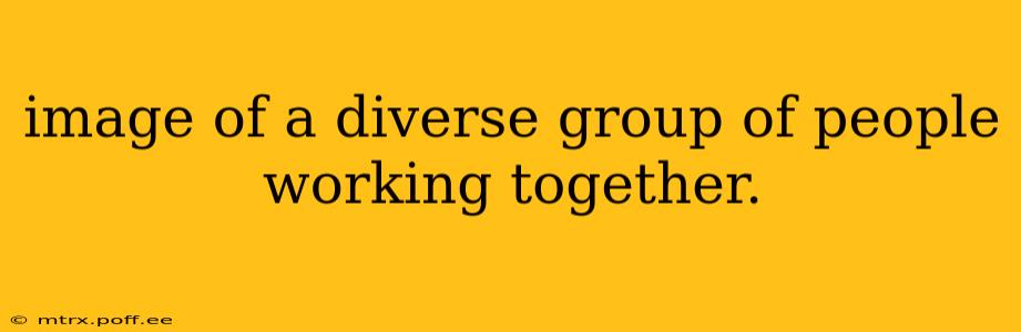 image of a diverse group of people working together. image of a diverse group of people working together.