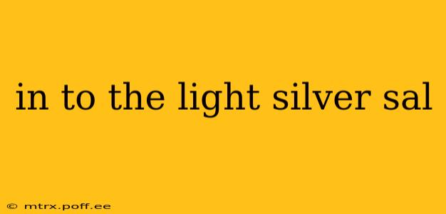 in to the light silver sal