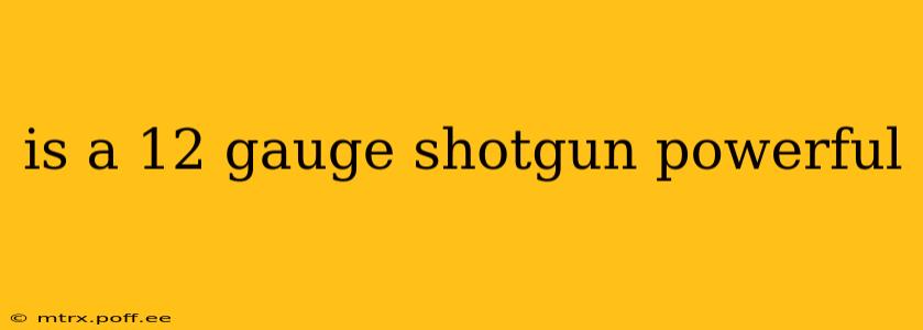 is a 12 gauge shotgun powerful