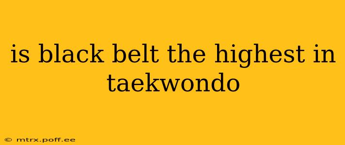 is black belt the highest in taekwondo