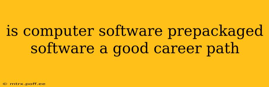 is computer software prepackaged software a good career path