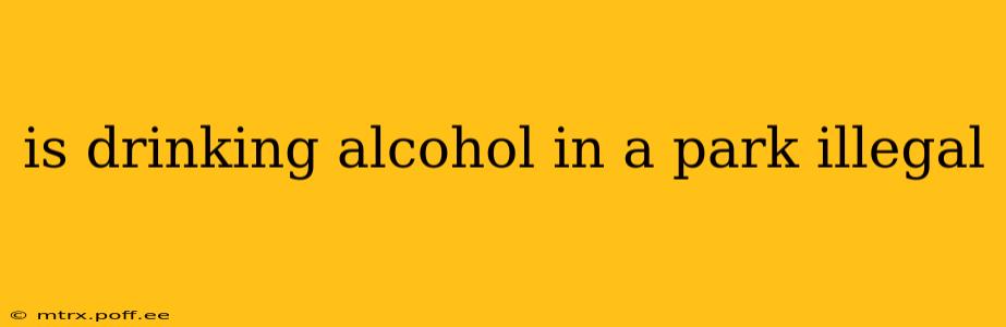 is drinking alcohol in a park illegal