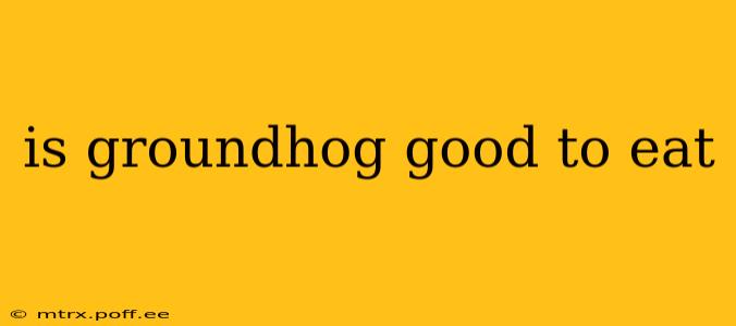 is groundhog good to eat