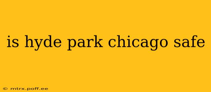 is hyde park chicago safe