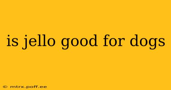 is jello good for dogs