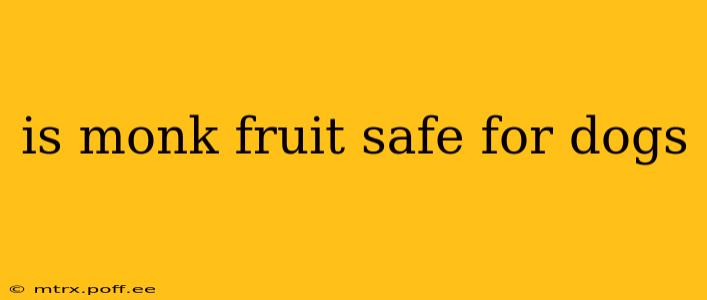 is monk fruit safe for dogs