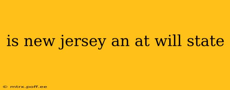 is new jersey an at will state