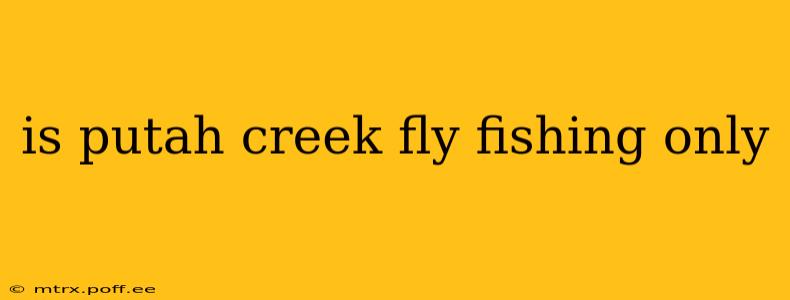 is putah creek fly fishing only