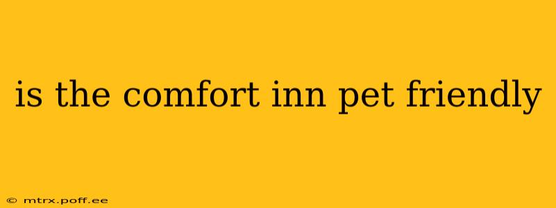 is the comfort inn pet friendly