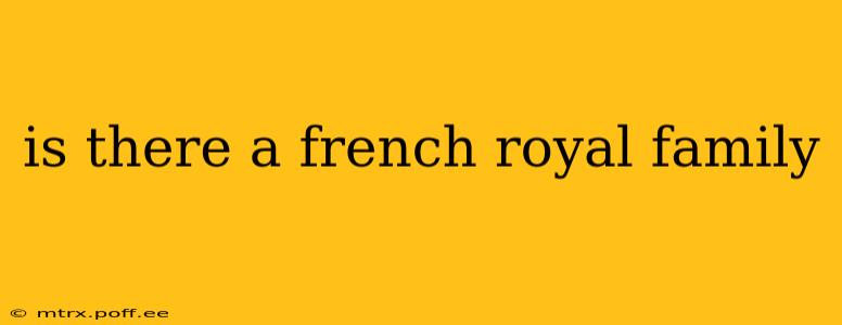 is there a french royal family