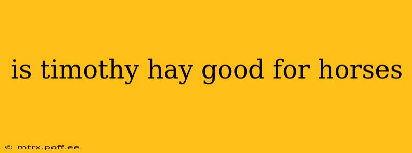 is timothy hay good for horses