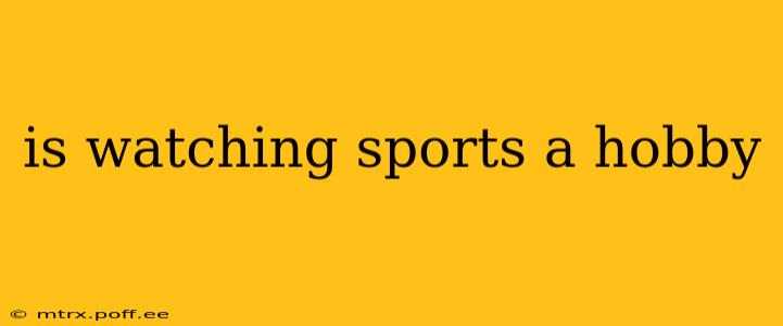 is watching sports a hobby