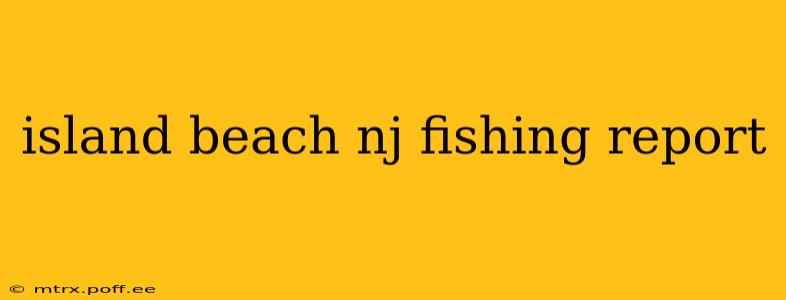 island beach nj fishing report
