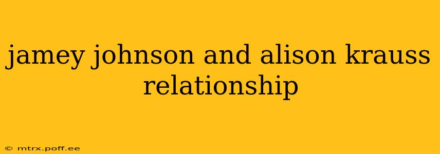 jamey johnson and alison krauss relationship