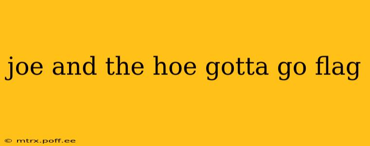 joe and the hoe gotta go flag