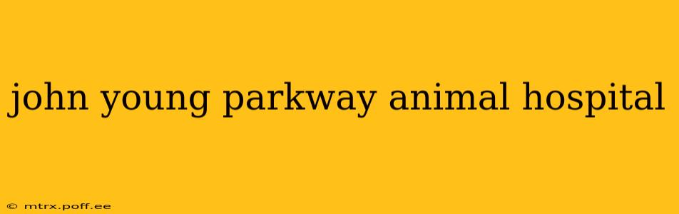 john young parkway animal hospital