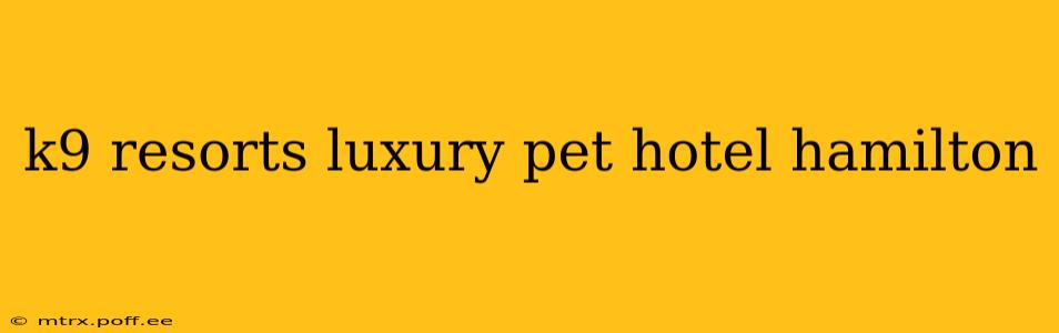 k9 resorts luxury pet hotel hamilton