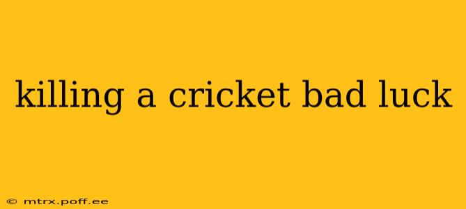 killing a cricket bad luck