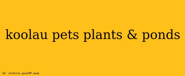 koolau pets plants & ponds