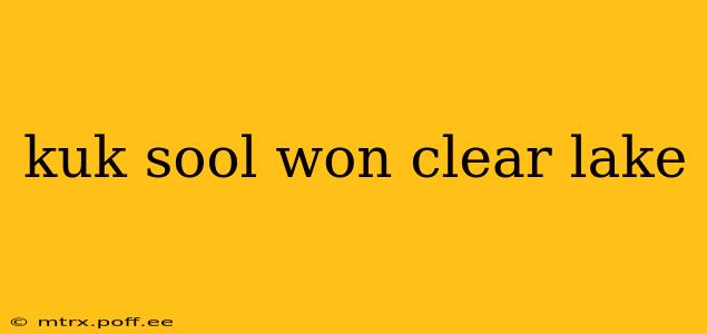 kuk sool won clear lake