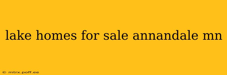 lake homes for sale annandale mn