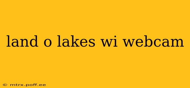 land o lakes wi webcam