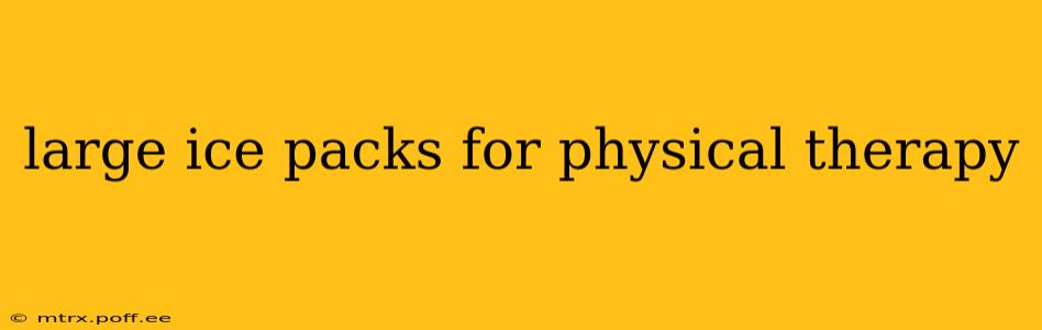 large ice packs for physical therapy