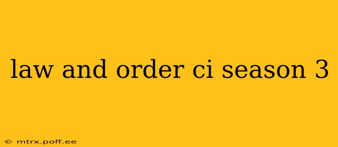 law and order ci season 3