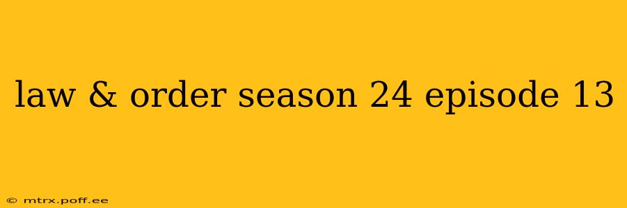 law & order season 24 episode 13