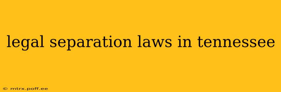 legal separation laws in tennessee