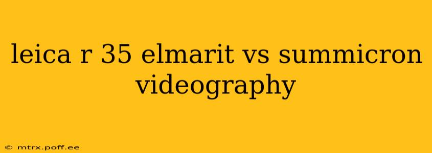leica r 35 elmarit vs summicron videography