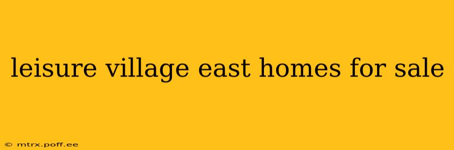 leisure village east homes for sale
