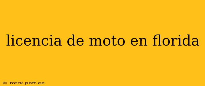 licencia de moto en florida