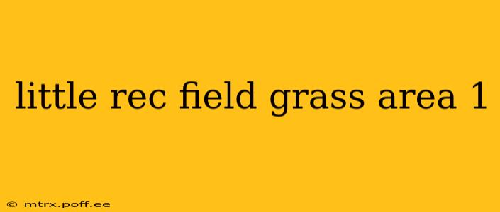 little rec field grass area 1