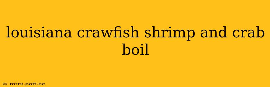 louisiana crawfish shrimp and crab boil